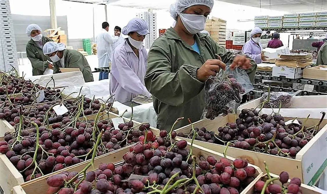 Hacienda sigue optimista: prevé crecimiento de 2.5 %