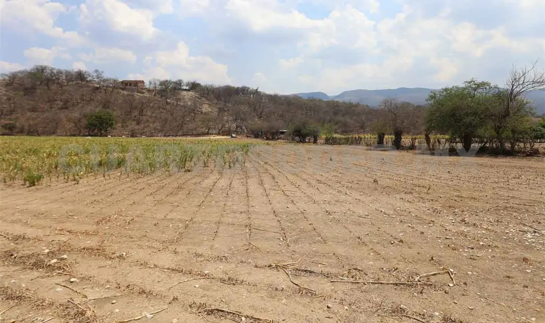 El 30.9 % del territorio está con sequía moderada