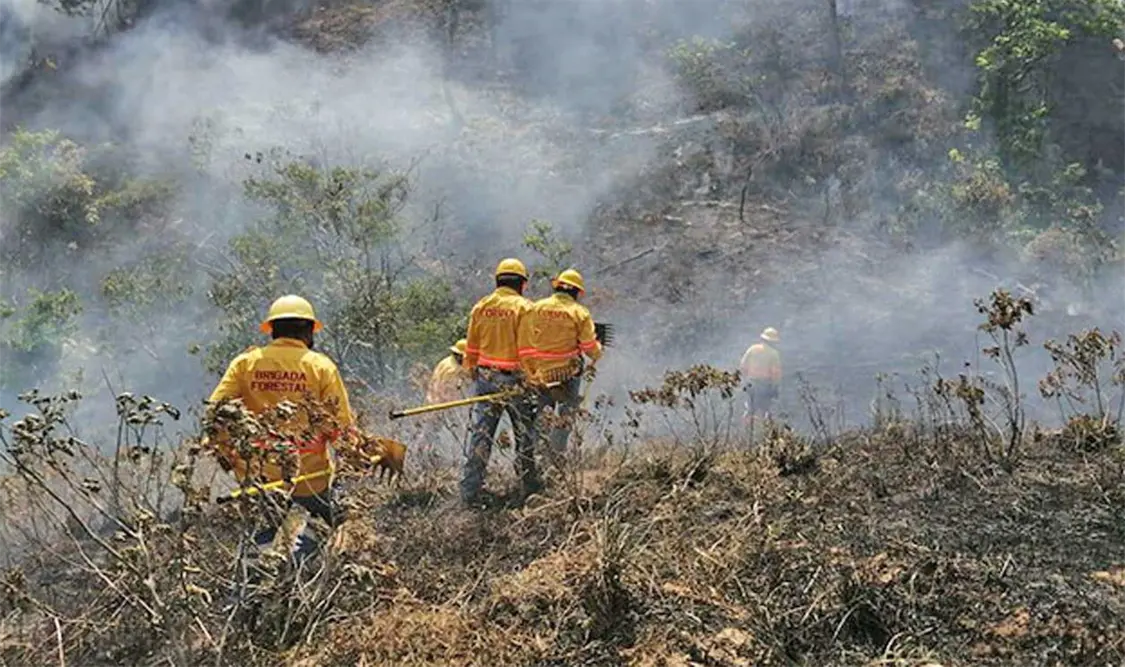 Autoridades municipales de Yalálag pidieron el apoyo de elementos del Ejército Mexicano y de la Semar. Cortesía