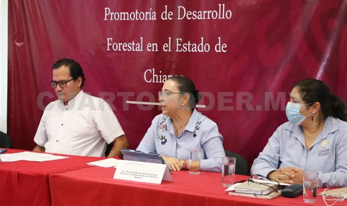 Conservar los humedales garantiza la vida