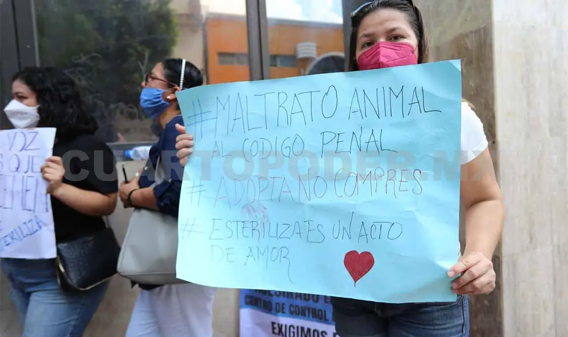 Avalan propuesta de castigo por maltrato animal