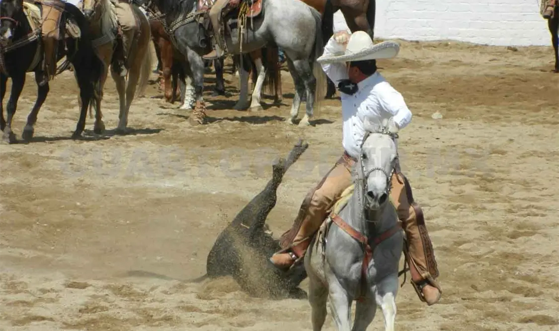 Hacienda Santa Teresa gana charreadas