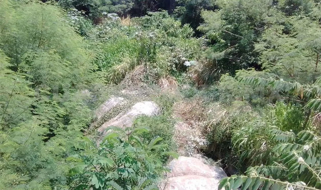 Realizan limpieza en los márgenes del río Lagartero