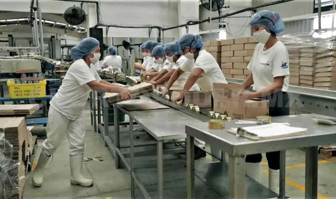 Chiapas muestra recuperación en generación de empleos