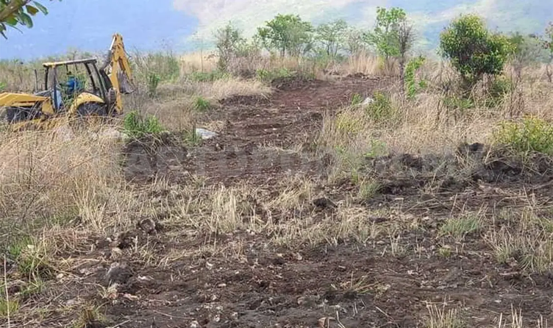 Proyecto de reforestación en el Cañón del Sumidero