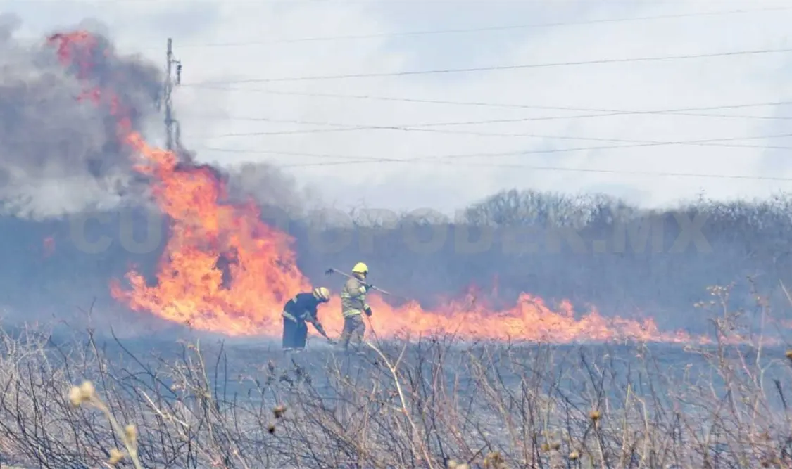 Diversas ANP se están viendo afectadas por los incendios forestales. Diego Pérez / CP