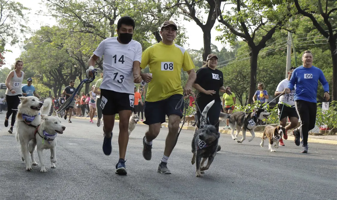 Mucha diversión tuvieron tanto las mascotas como sus dueños que participaron en el evento deportivo. Diego Pérez/CP