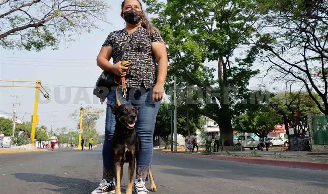Hasta 10 reportes diarios por maltrato animal