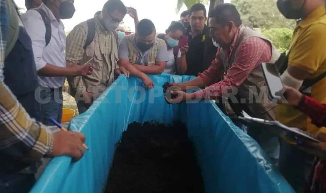 Campesinos optan por utilizar biofertilizantes