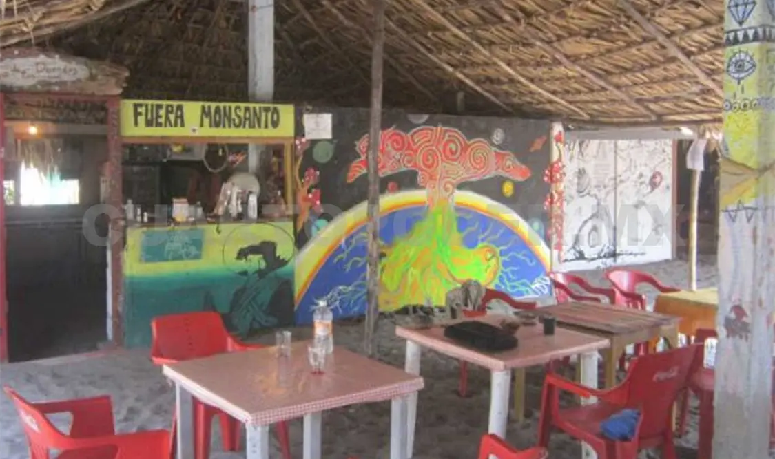 Palaperos temen que los fuertes vientos que se han presentado, puedan dejar serios daños en sus negocios. Noel Vázquez / CP