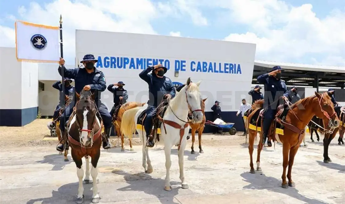 El sector ganadero agradeció los operativos realizados por la Secretaría de Seguridad y Protección Ciudadana. CP