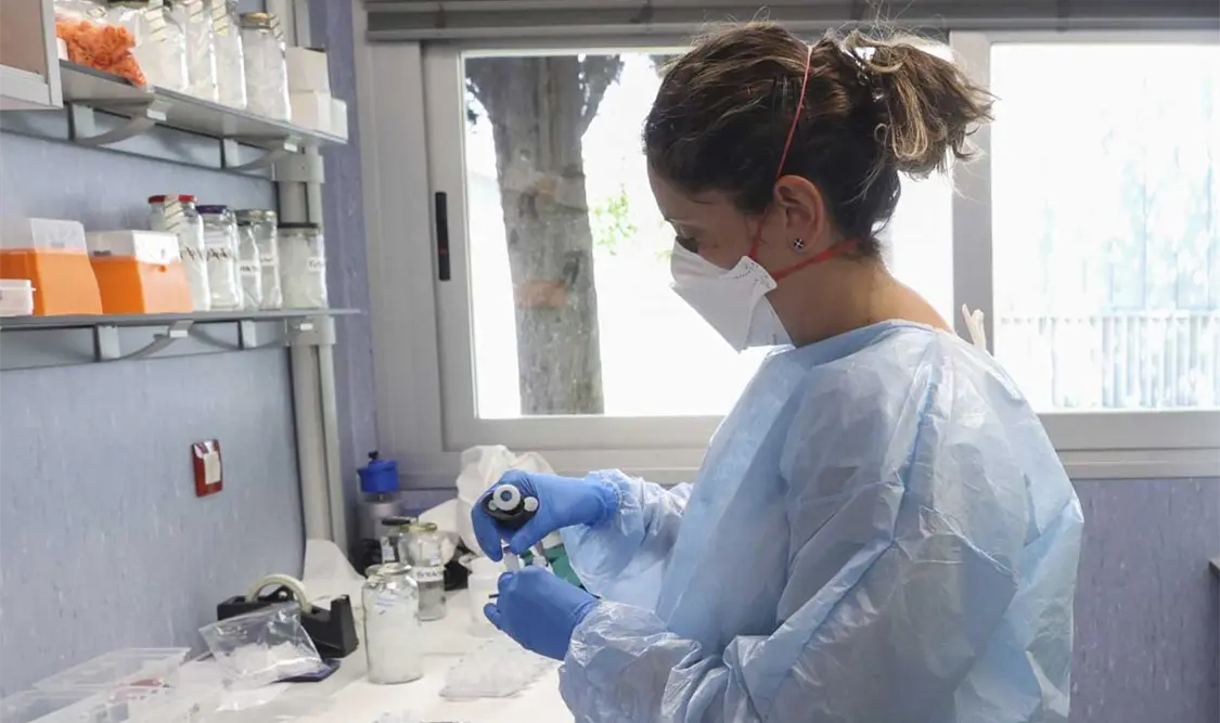 De momento no existen muchas posibilidades de tratamiento, pero hay algunos antivirales desarrollados contra la viruela. Cortesía
