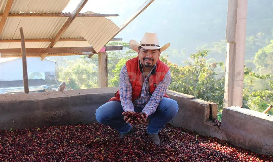 El productor destacó que a pesar de las dificultades continuarán produciendo café porque lo vale. Cortesía