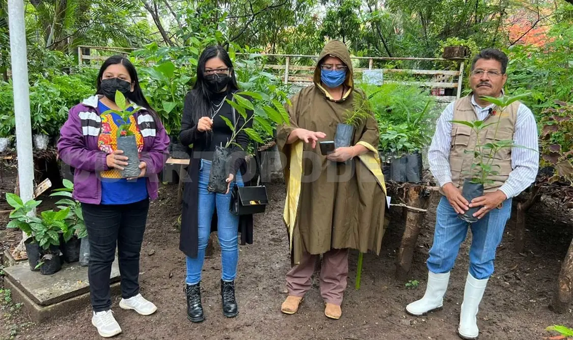 La donación de árboles forestales está abierta al público en general, del 1 al 3 de junio. CP