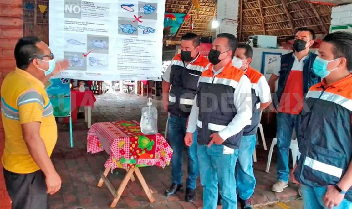 43 brigadistas han realizado, de lunes a domingo, actividades de fomento sanitario en 634 palapas y restaurantes. CP