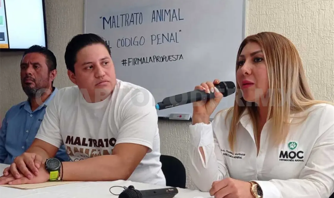 Informaron que la propuesta integra la participación de diversos sectores de la sociedad. José Ortega / CP