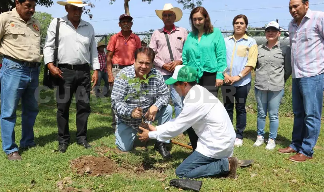 Realiza Rosales Zuarth magna reforestación
