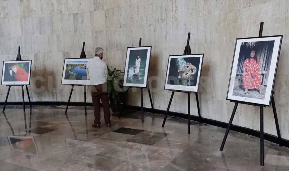 Exposición concientiza importancia de las ANP