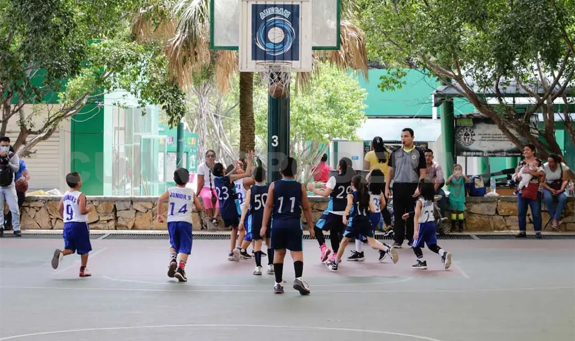 CUBCH apuesta por incrementar el nivel