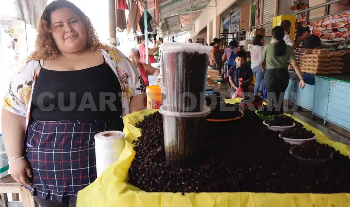 Redes sociales han impulsado la venta de nucú