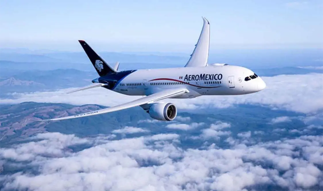Aeroméxico pide revisión judicial