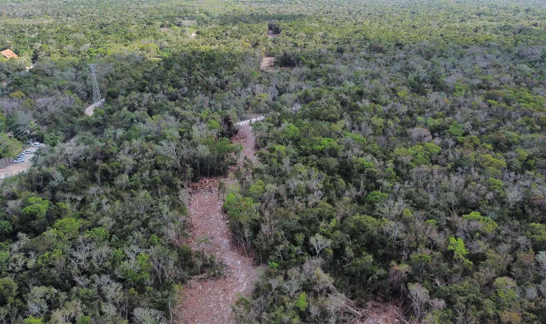 “El tramo 5 pasa por al menos tres cenotes y por una región de cuevas”, señalan activistas. Cortesía