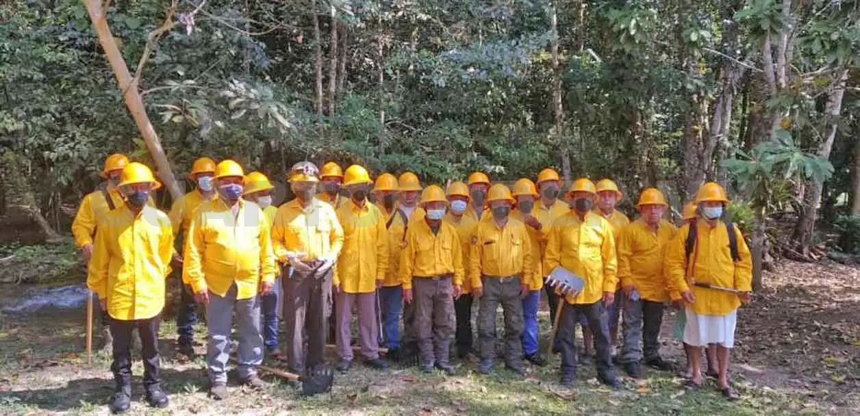 Brigadistas, esperanza de la Selva Lacandona