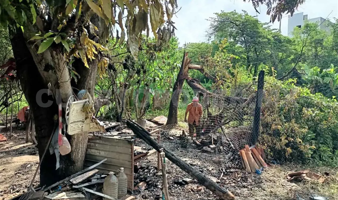 Cae rayo en un árbol y arde humilde vivienda
