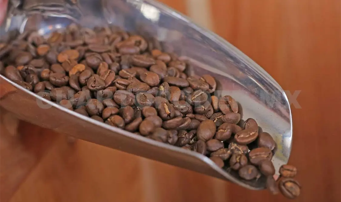Café Chiapas es la denominación que se le otorga al café que es producido en diversas zonas del estado. Carlos López / CP