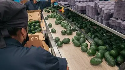 La economía mexicana no se está recuperando de manera uniforme. Cortesía