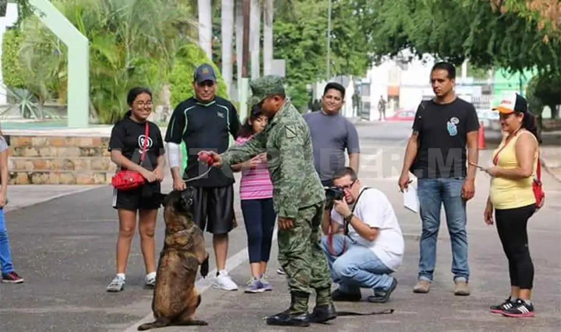 Invitan a paseo dominical en Batallón de Infantería