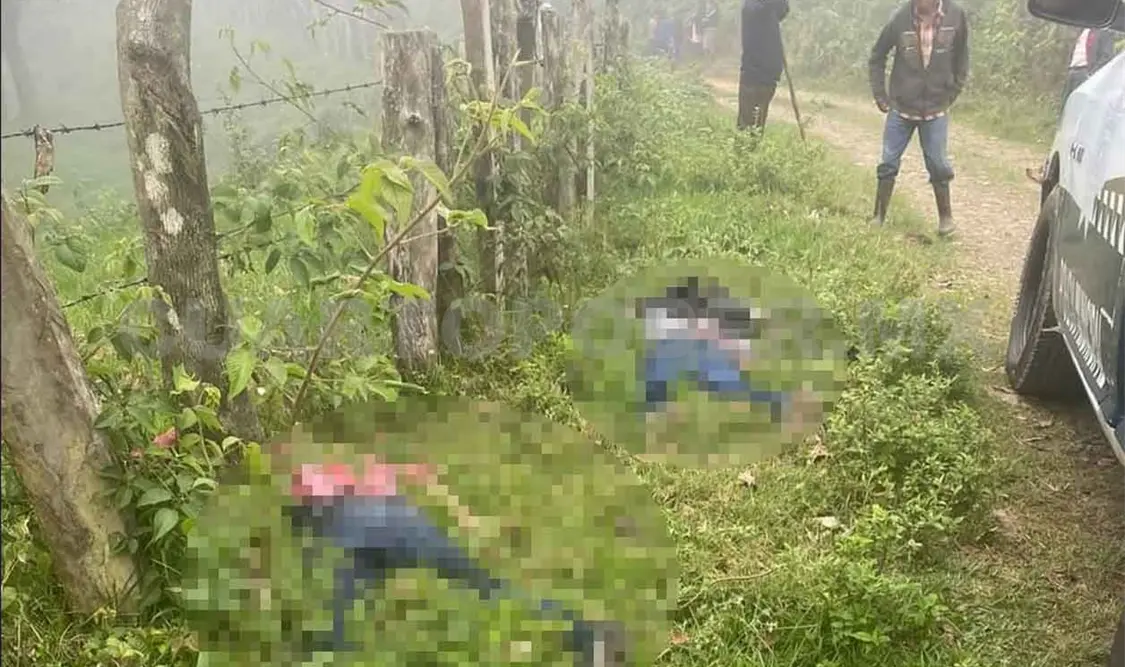 Hallan a cuatro hombres ejecutados de varios balazos