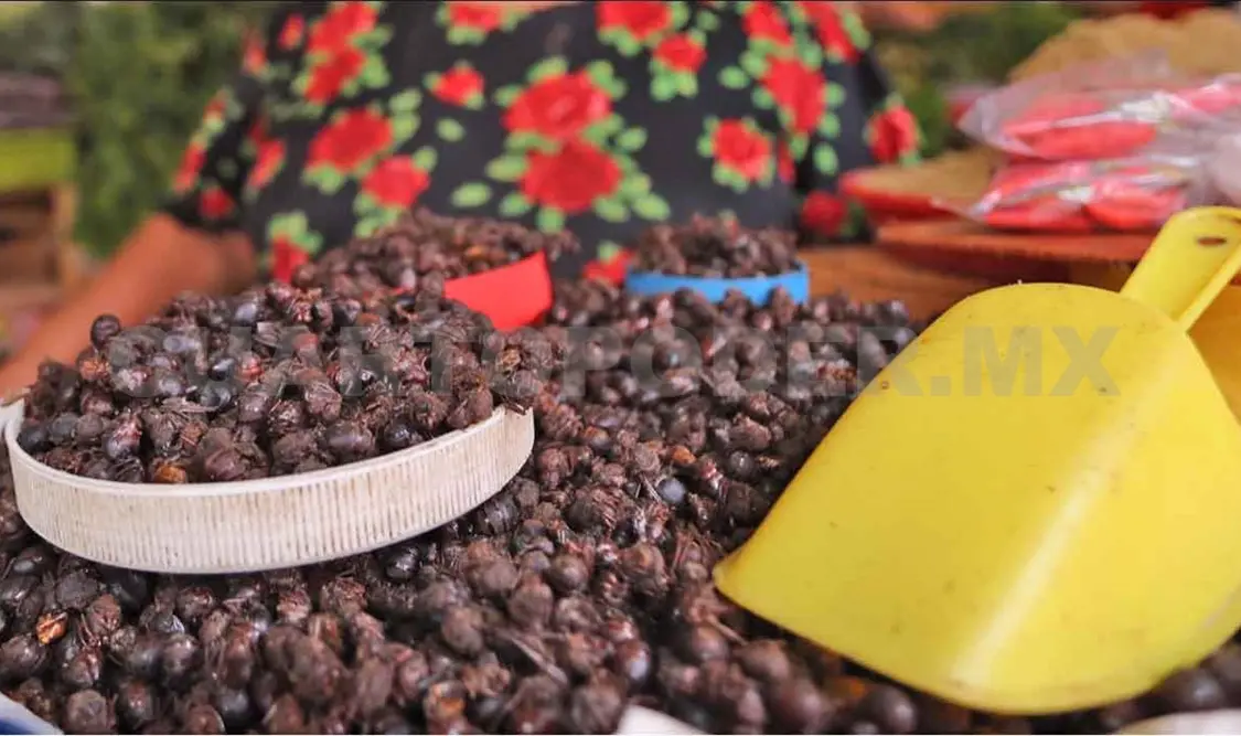 Anuncian Feria Gastronómica El Nucú