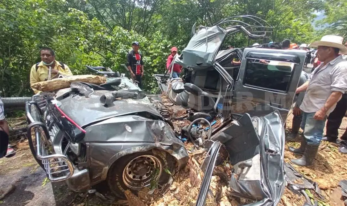 Cae árbol en camioneta y mata a tres personas