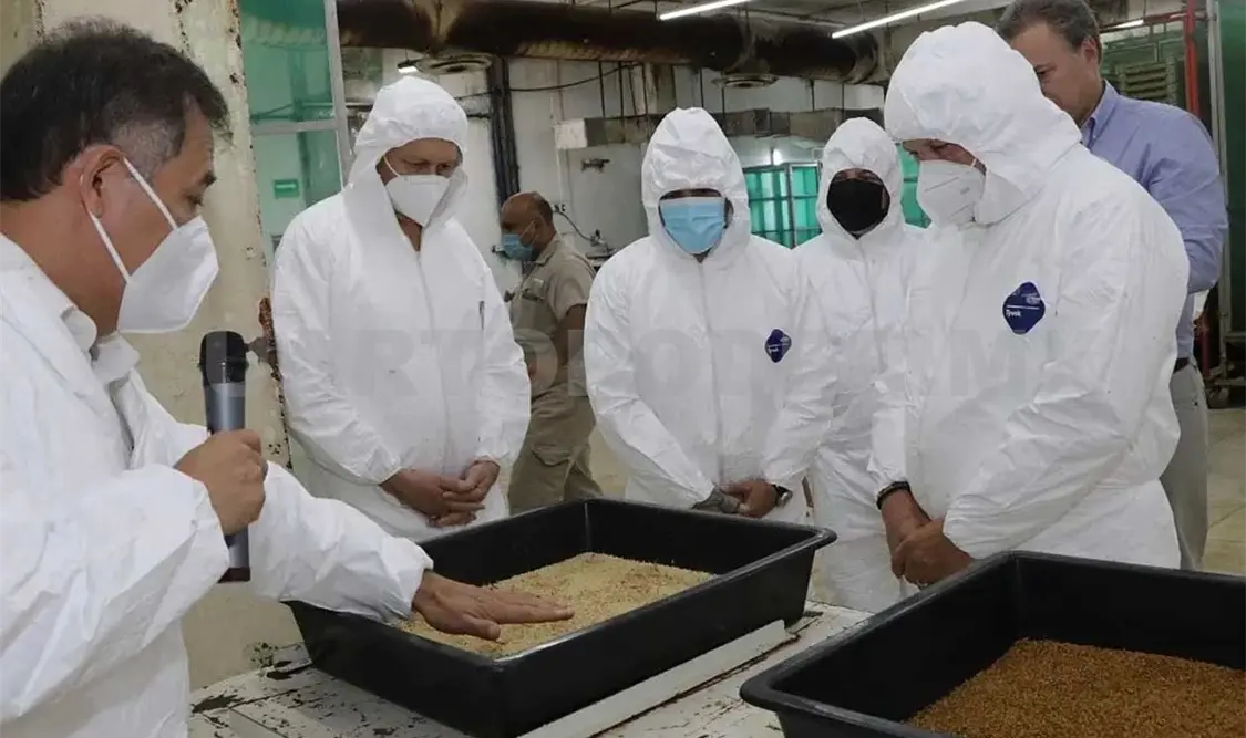 Agricultura federal mantiene un trabajo especializado y coordinado con EUA y Guatemala, desde Chiapas. Cortesía