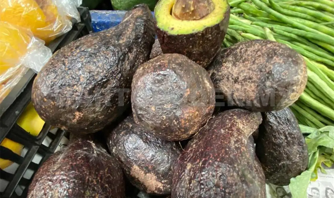Nuestros aguacates