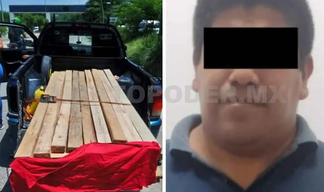 Aseguran a presunto ecocida con madera