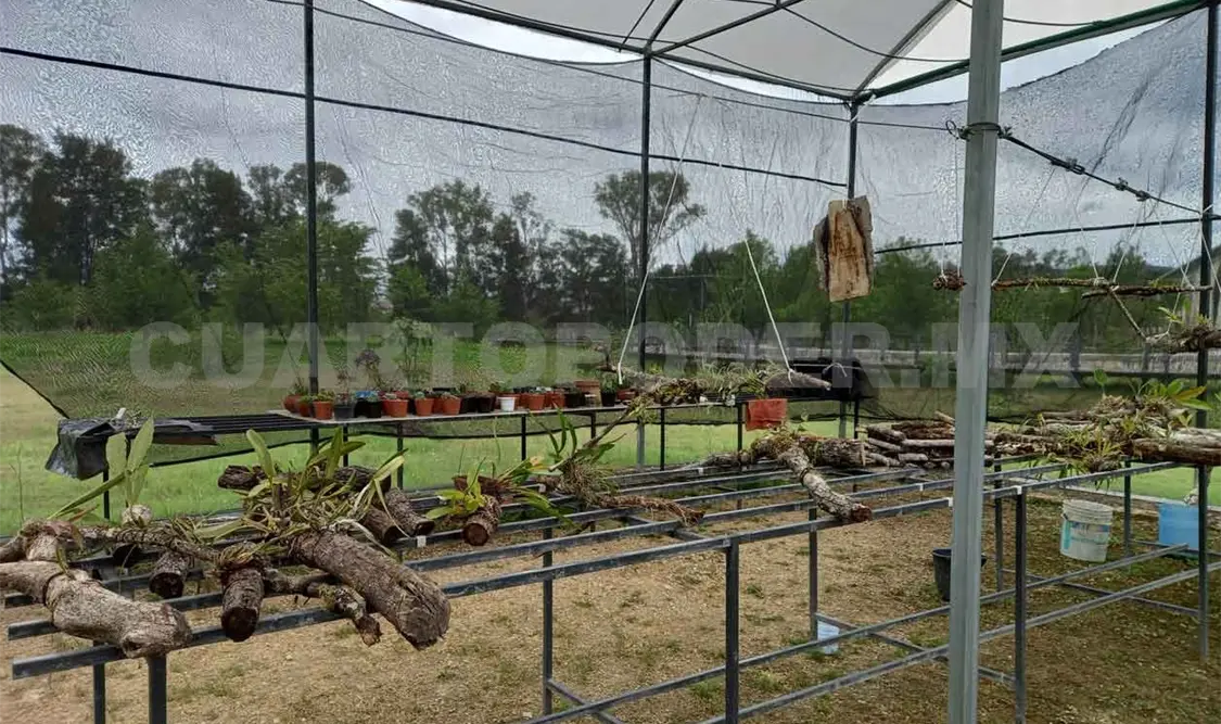 Hospital de Orquídeas, espacio de conservación