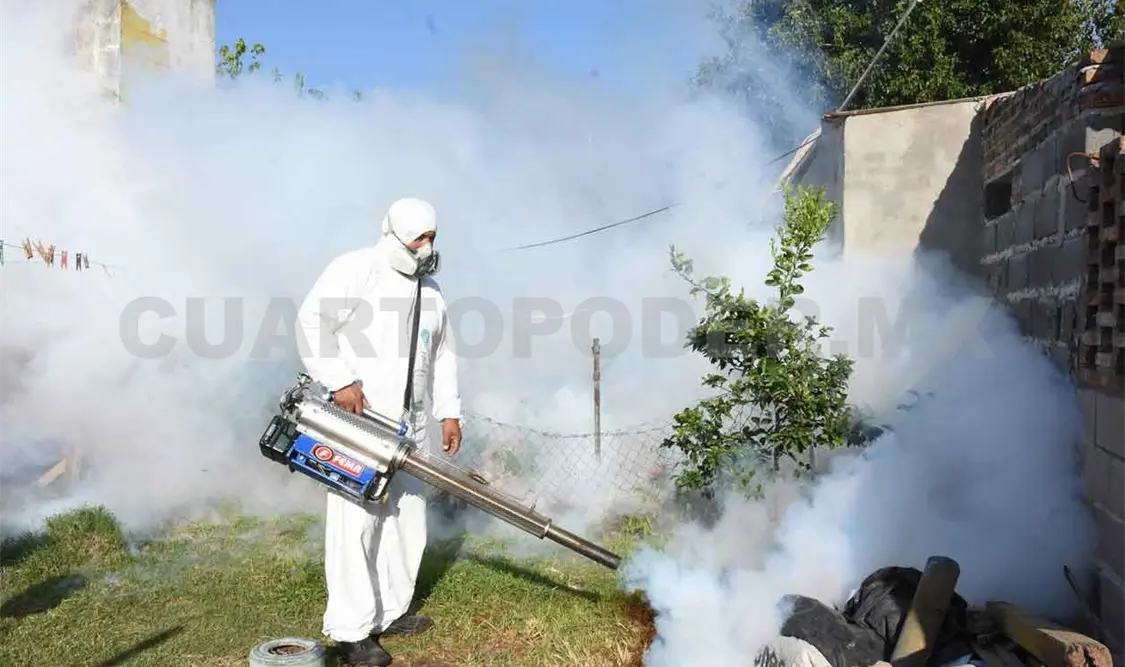 Se analizan cuatro defunciones por dengue