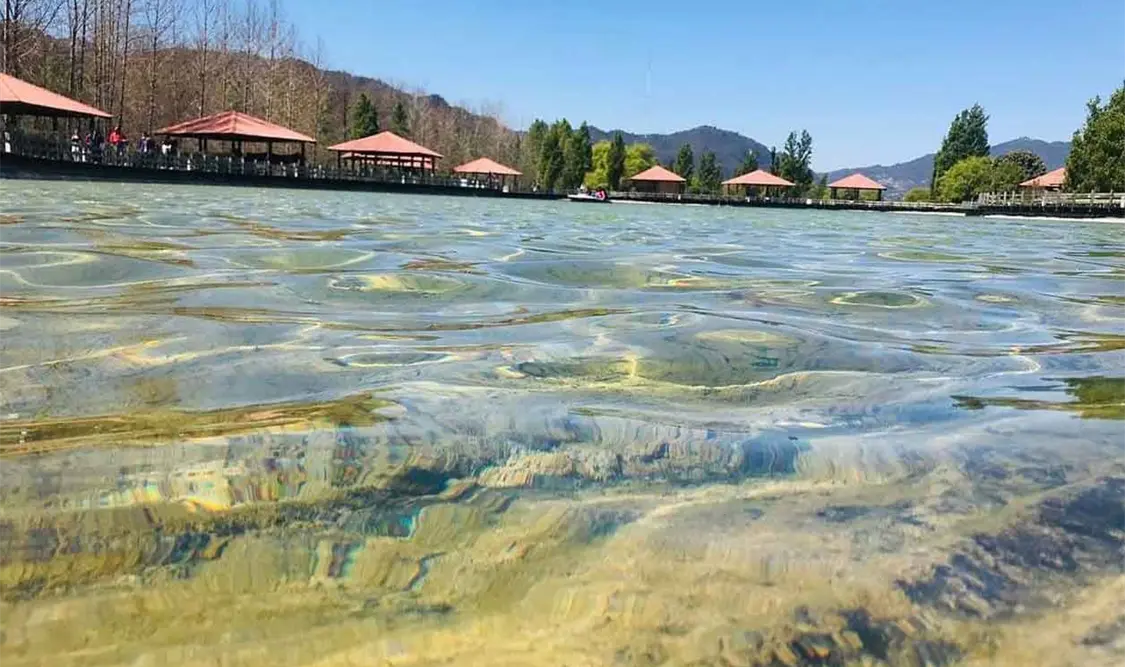 Crean la mayor base de datos de peces