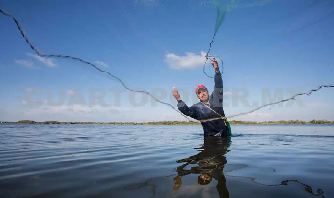 Pesca debe virar hacia la sustentabilidad