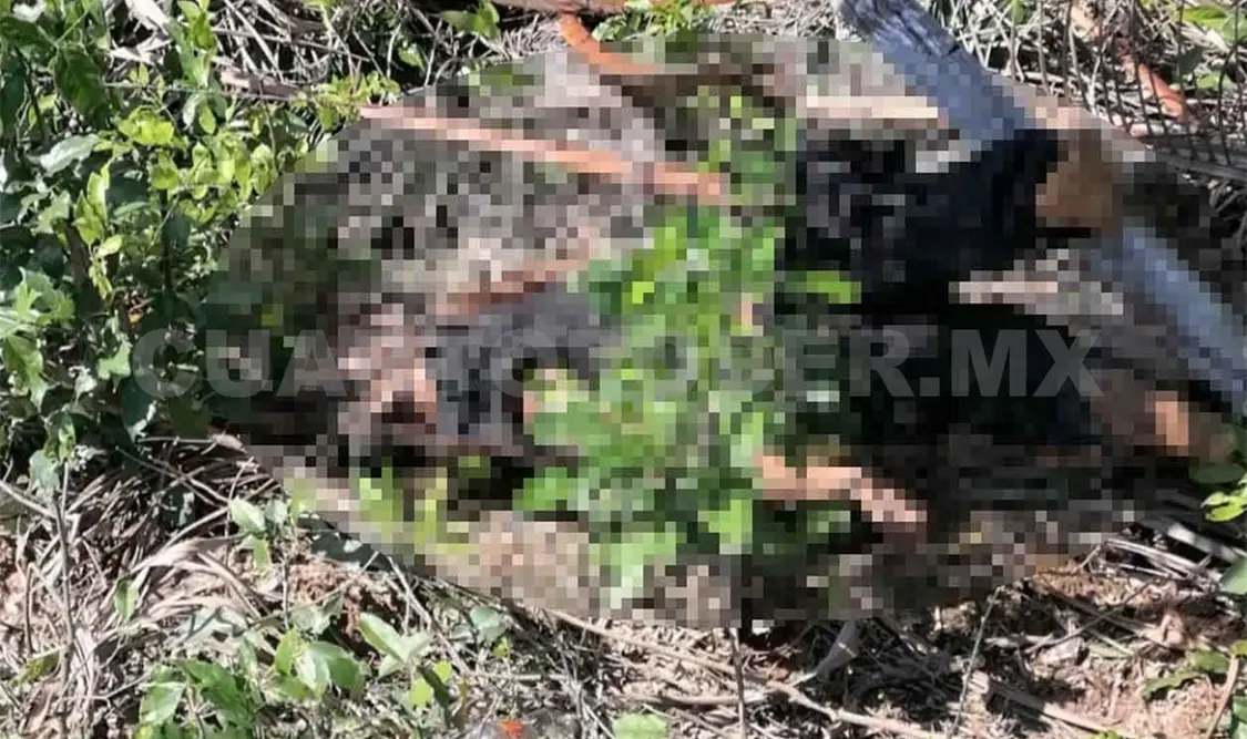 Localizan a hombre sin vida a orilla de la carretera