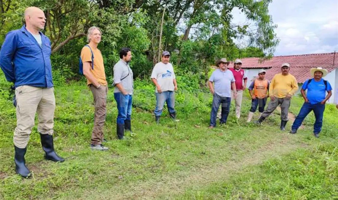 Supervisan proyectos de reforestación