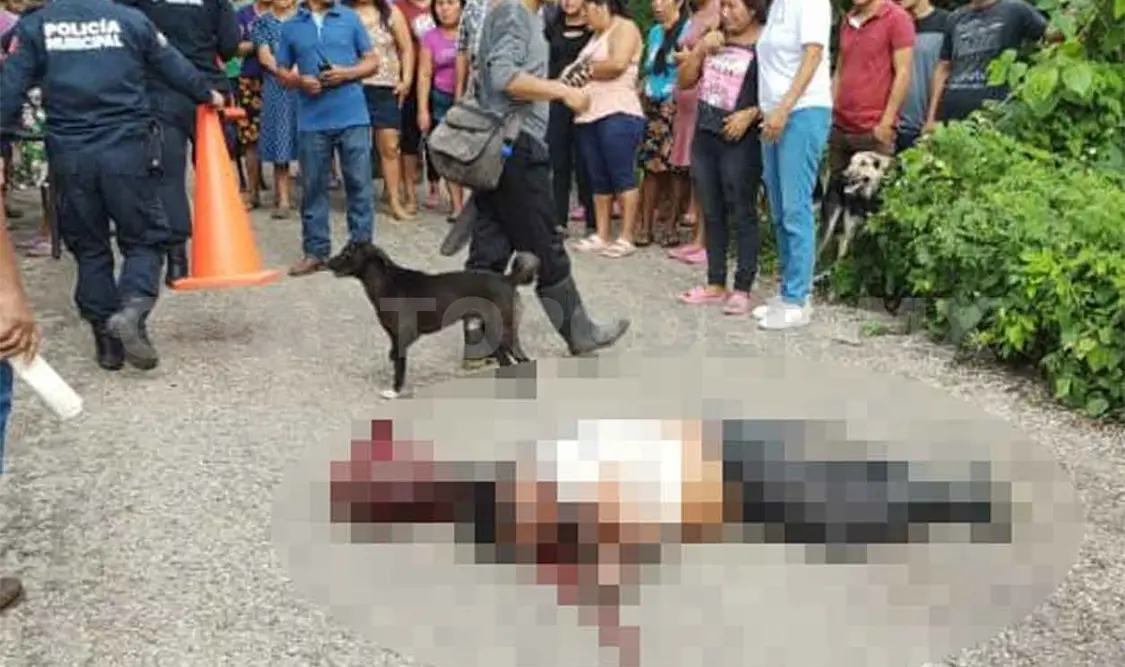 Sujeto cae de camioneta en movimiento y muere