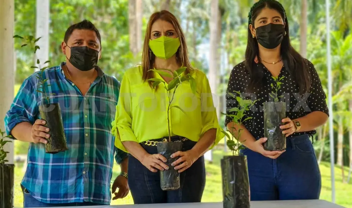 Ponen en marcha programa Adopta un Árbol