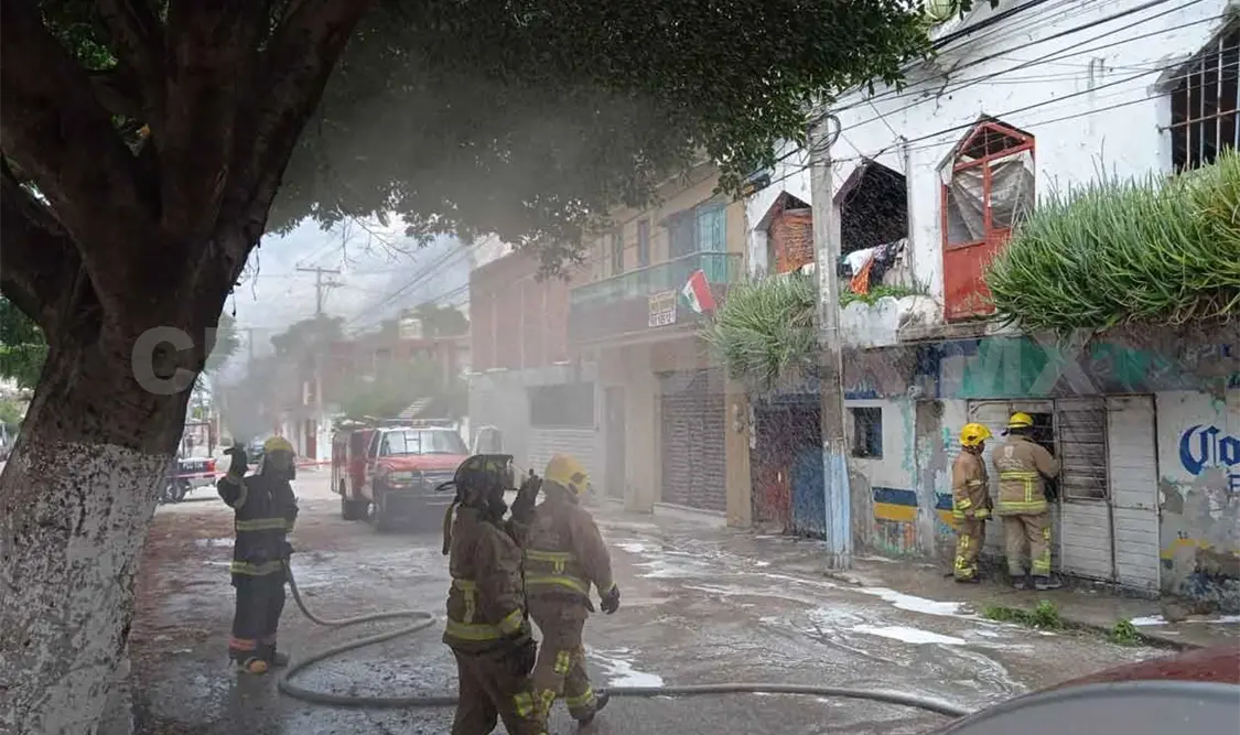 Enjambre de abejas ataca a vecinos del barrio Hidalgo