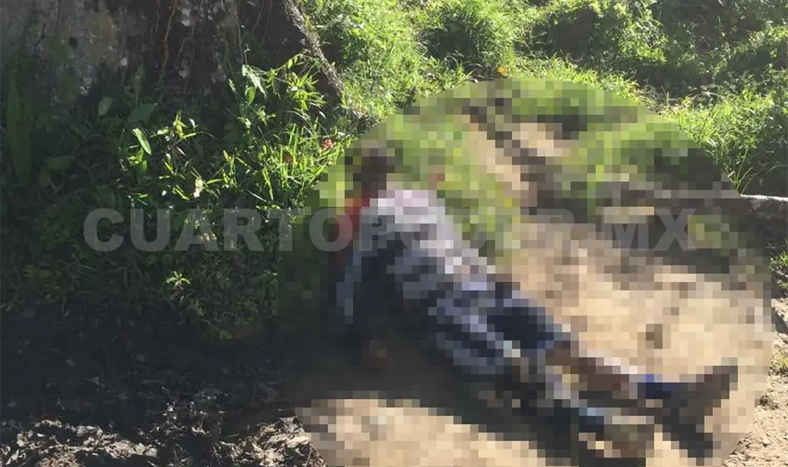 Hallan muerto a sujeto junto a carretera federal