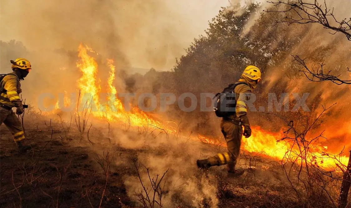 Casi 60 mil hectáreas quemadas por incendios
