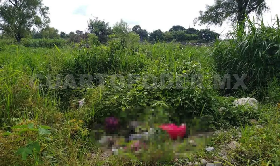 Jovencito herido tras caer de un árbol