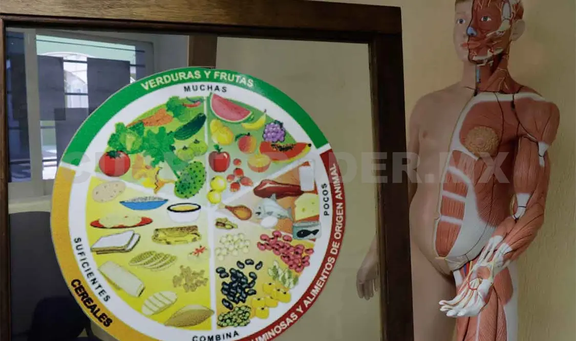Mala alimentación aumenta en edades tempranas